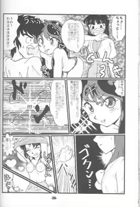 Page 29 of TigerDriver - preview thumbnail