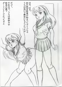 Page 3 of Tora 6 - preview thumbnail