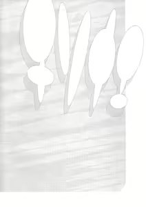 Page 3 of Chisonae SSS ver1.0 - preview thumbnail