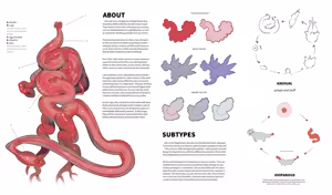 Page 6 of PUBLIC SERVICE ANNOUNCEMENT HOW TO SPOT A SUCCUBUS - preview thumbnail