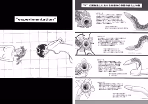 Page 3 of P045-02 Vanis Report - preview thumbnail