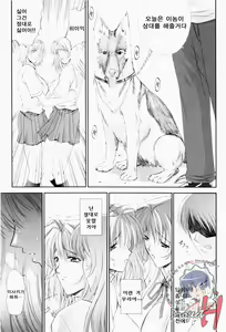 Page 176 of ERO CARTE - preview thumbnail