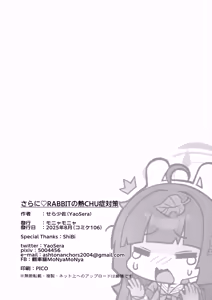Page 30 of Sara ni RABBIT no NetsuChushou Taisaku | 强化版RABBIT的热SHE病对策 - preview thumbnail