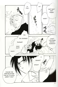 Page 17 of Sasuga no Naruto - preview thumbnail