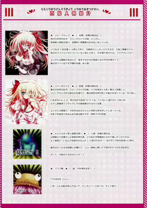 Page 3 of Moe Touhou Gensoukyou - Touhou Shuukokusei BLACK ANGEL. - preview thumbnail