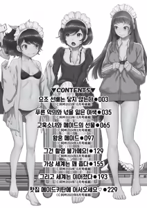 Page 3 of Cosplay Maid ga Ikagawashii | 코스프레 메이드가 너무나 음탕해 - preview thumbnail