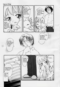 Page 3 of Cat or Dog - preview thumbnail