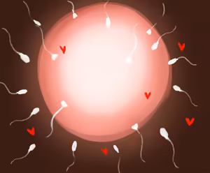 Page 56 of The Adventures of Sakura & Max - preview thumbnail
