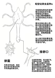 Page 347 of 寄生虫系列之钻阴虫 - preview thumbnail