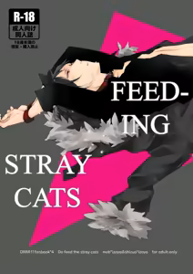 Feeding Stray Cats - Durarara doujin - hentai manga cover image
