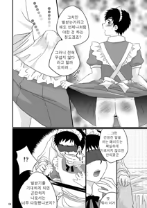 Page 3 of Maid Seiji-kun, Futatabi no Oshioki Now | 메이드 세이지 군, 또 다시 벌 받는 중 - preview thumbnail