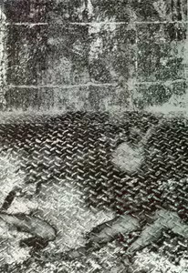Page 3 of Degeneration - preview thumbnail