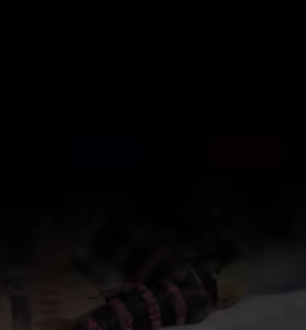 Page 8 of [Kitsune[ FGO Reverse Rape Nightcrawling from a Bond Level 13 Koyanskaya - preview thumbnail