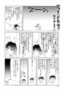 Page 29 of CG²R 01 - preview thumbnail