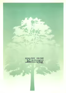 Page 38 of HEALTHY PRIME BLANCHE - preview thumbnail