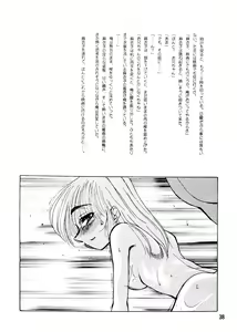 Page 39 of Sasami no Darenimo Ienai Itazura - preview thumbnail
