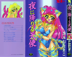 Yoru ni Oriru Tenshi — hentai manga cover on Fhentai