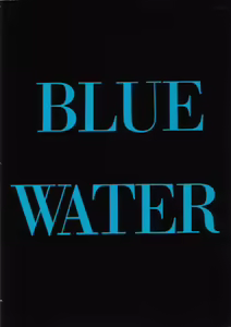 Page 31 of BLUE WATER - preview thumbnail