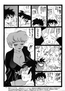 Page 56 of Chousen Ame Ver. 17.0 - preview thumbnail