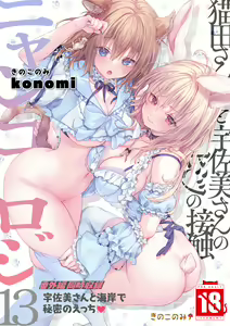 Nyancology 13 -Nekoda-san to Usami-san no Himitsu no Sessyoku- Bangaihen Douji Shuuroku "Usami-san to Umibe de Himitsu no Ecchi" - hentai manga cover image