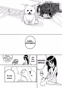 Page 3 of CURIOSIDAD - preview thumbnail