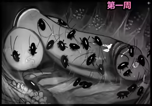 Page 60 of 请让鸡鸡远离虫子！(重口虫子慎入)Please keep your penis away from bugs! - preview thumbnail