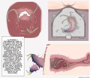 Page 3 of Insect Research Report (Spanish) MTL - preview thumbnail
