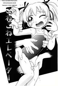 Itazura Switch - Elevador Provocante — hentai manga cover on Fhentai