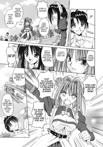 Page 40 of Palladium Garden - preview thumbnail