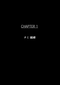 Page 3 of B-Kyuu Archives 2 Torawareta Onna Kaizoku - preview thumbnail