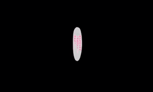 Page 99 of Haru no Taima Miko Seinyu Noryoku Kensa - preview thumbnail