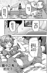 Page 59 of Shounen Seiai - preview thumbnail