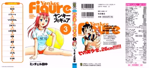 Yankee Figure 3 — hentai manga cover on Fhentai