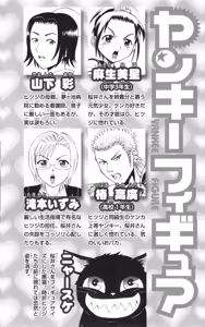 Page 9 of Yankee Figure 5 - preview thumbnail