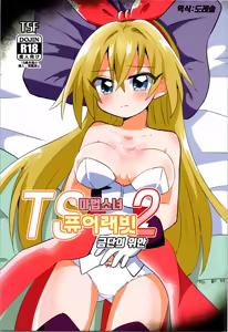 TS Mahou Shoujo Pure Rabbit 2 Kindan no Nagusamex | TS 마법소녀 퓨어 래빗 2 금단의 위안 - hentai manga cover image