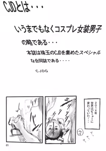 Page 3 of CJDG - preview thumbnail