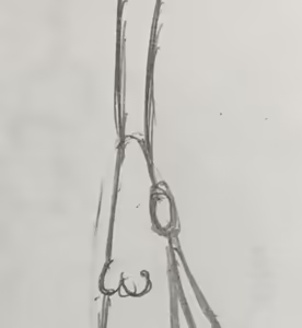Page 777 of 石水 - preview thumbnail