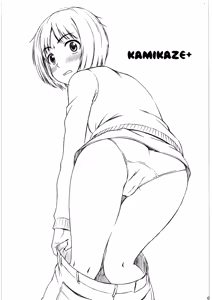 Page 2 of Kamikaze+ - preview thumbnail