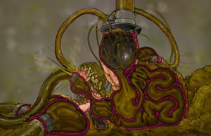 Page 36 of COM - preview thumbnail