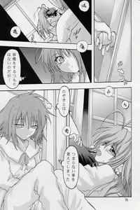 Page 30 of Elf's Ear Book 12 - Kurenai RED - preview thumbnail