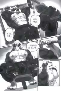 Page 3 of PRIVATE  GYM - preview thumbnail