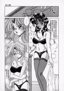 Page 40 of Hana no Kage | Shadow of Splendor - preview thumbnail