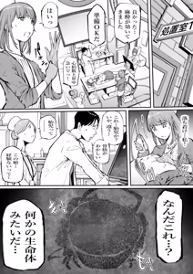 Page 5 of Haramata Disease: A tale of Corrosion - The Fusion of the Maternal Core - preview thumbnail
