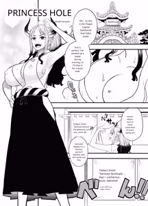 Princess Hole (Dorota Bou) (One Piece) Bonus Booklet — hentai manga cover on Fhentai