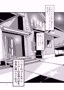 Page 27 of Isekai kara no Ryuugakusei Dark Elf-san o Oyome-san ni Shitai - preview thumbnail