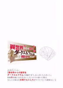 Page 31 of Isekai kara no Ryuugakusei Dark Elf-san o Oyome-san ni Shitai - preview thumbnail