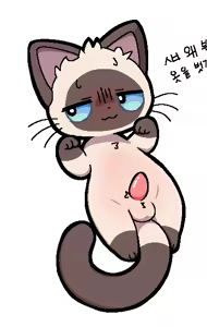 Page 40 of 【X-twitter】Collection_PlumFlavor777_作品合集2026-5-19 - preview thumbnail