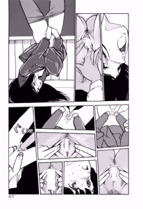Page 70 of MUSHROOM - preview thumbnail