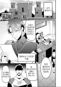 Page 3 of Ayatsuri Ryoujoku Kishi | 기사님 능욕하기 - preview thumbnail