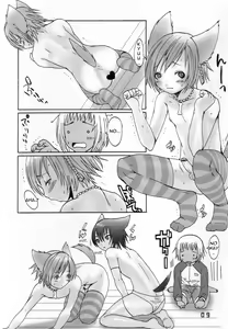 Page 6 of Ibarinbou Chihuahua - preview thumbnail